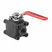 Ball Valve 3/4 Size CS Standard Port