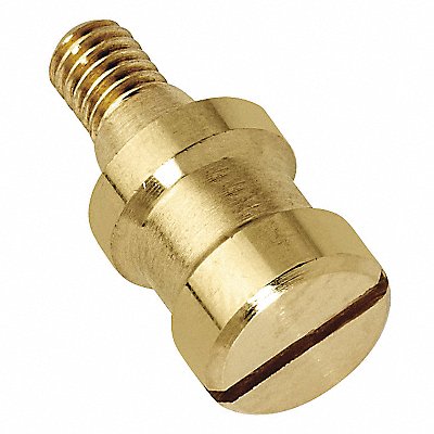 Mounting Screw
