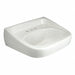 Zurn Lav Sink Oval 20inx18inx5-3/4in