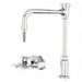 Gooseneck Laboratory Faucet Brass Body