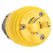 Watertight Locking Plug 125/250VAC 20A