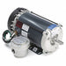 Motor 1 HP 1725 rpm 56 230/460V