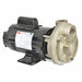Turbine Pump 1 HP 115 to 230V 3450 rpm