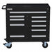 Rolling Tool Cabinet Blk Ind Prem Duty