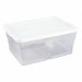 Storage Tote Clear/White Polypropylene