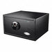 Security Safe Black 25 lb.