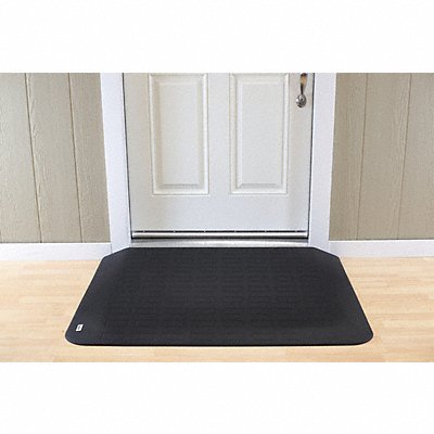 ADA Compliant Ramp Matte Black 2 3/4 H