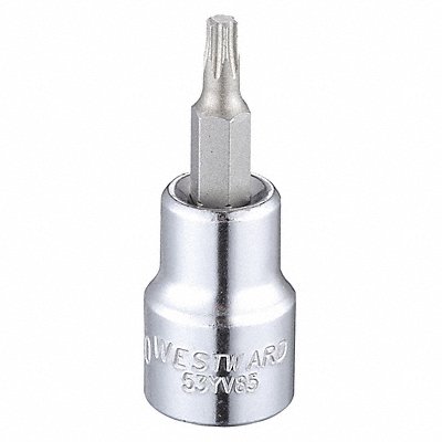 Socket Bit Steel 3/8 in TpSz T20