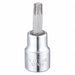 Socket Bit Steel 3/8 in TpSz T40