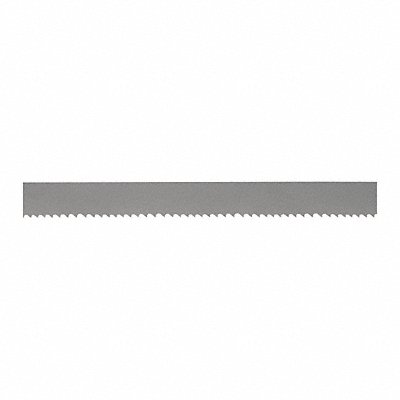 Band Saw Blade Steel 13 ft 10 L 1-1/4 W