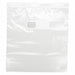 Freezer Bag Gallon Zip 10.56 x 11 PK250