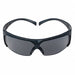 Safety Glasses AntiFog Gray Lens Color