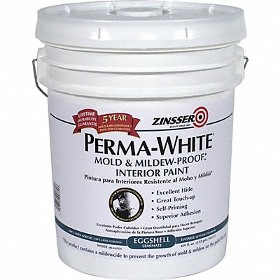 Interior Paint White Eggshell Finish