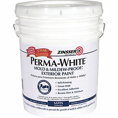 Interior Paint White Satin Finish