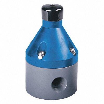 Pressure Valve 3/8 Pipe 250 psi CPVC