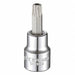 Socket Bit Steel 3/8 in TpSz T40