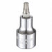 Socket Bit Steel 1/2 in TpSz T40