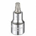 Socket Bit Steel 1/2 in TpSz T50