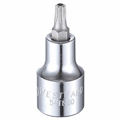 Socket Bit Steel 1/2 in TpSz T30