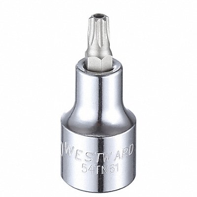 Socket Bit Steel 1/2 in TpSz T40