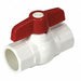 Ball Valve PVC Body 1/2 Pipe Sz