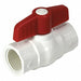 Ball Valve PVC Body 1 Pipe Sz