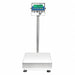 Platform Counting Bench Scale Washdown