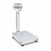 Platform Counting Bench Scale LCD