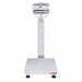 Platform Counting Bench Scale LCD