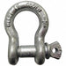 Anchor Shackle Screw Pin 1/2 Body Size