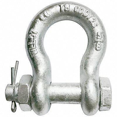 Anchor Shackle Bolt type 5/8 Body Size