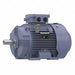 GP Motor 25 HP 3 550 RPM 230/460V 160L