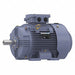 GP Motor 20 HP 1 775 RPM 230/460V 160L