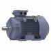 GP Motor 30 HP 1 780 RPM 230/460V 180L