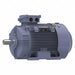 GP Motor 30 HP 3 550 RPM 230/460V 180M