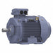 GP Motor 75 HP 1 790 RPM 230/460V 250M