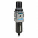 Filter-Regulator Particles/Water Removal
