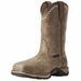 Wellington Boot C 6 1/2 Brown PR