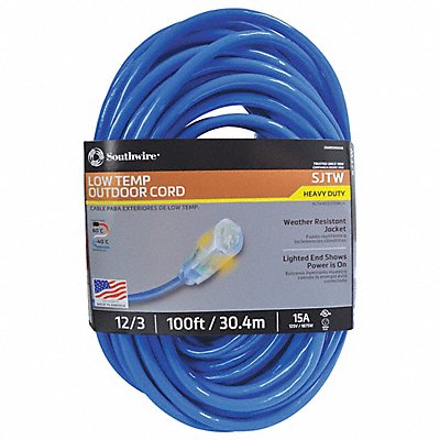 Extension Cord 12 AWG 125VAC 100 ft L