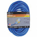 Extension Cord 12 AWG 125VAC 100 ft L