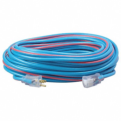 Extension Cord 12 AWG 125VAC 100 ft L