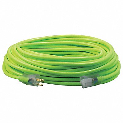 Extension Cord 12 AWG 125VAC 100 ft L