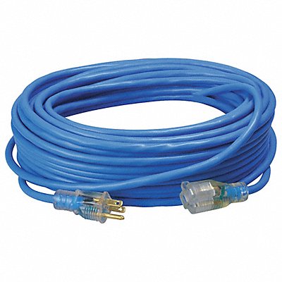 Extension Cord 14 AWG 125VAC 100 ft L