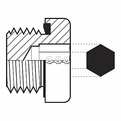 Hose Adapter 1-1/4 BSPP