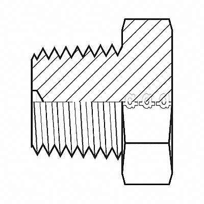 Hose Adapter 1 BSPT