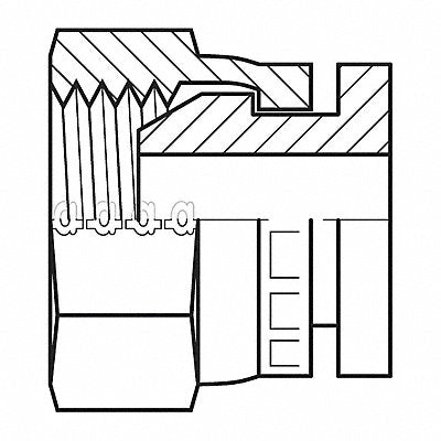 Hose Adapter 1 BSPP