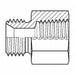 Hose Adapter 3/4 BSPP 3/4 NPT