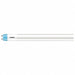 LED 16 W T8 Medium Bi-Pin (G13)