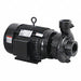 Centrifugal Pump 3 Ph 230/460VAC