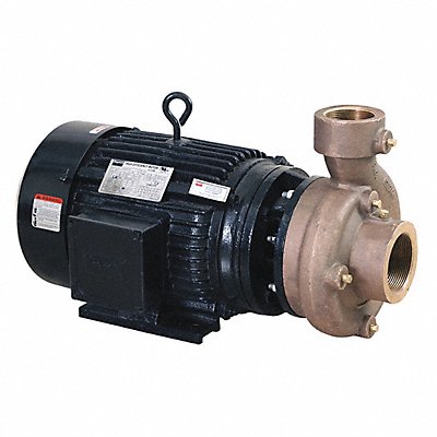 Centrifugal Pump 3 Ph 230/460VAC